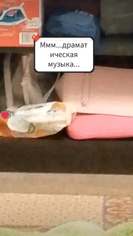 Алекс в LOOKY. . Кто это???❌🔪😋