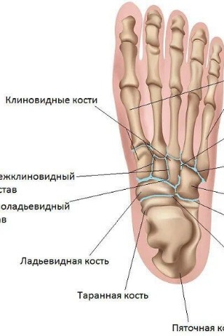Жанна в LOOKY. . Наш скелет — это уди...