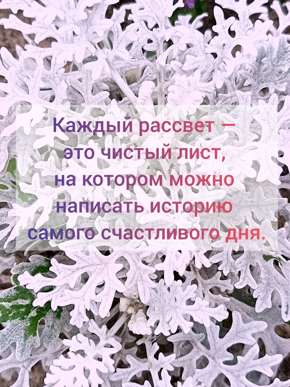 YULIYA