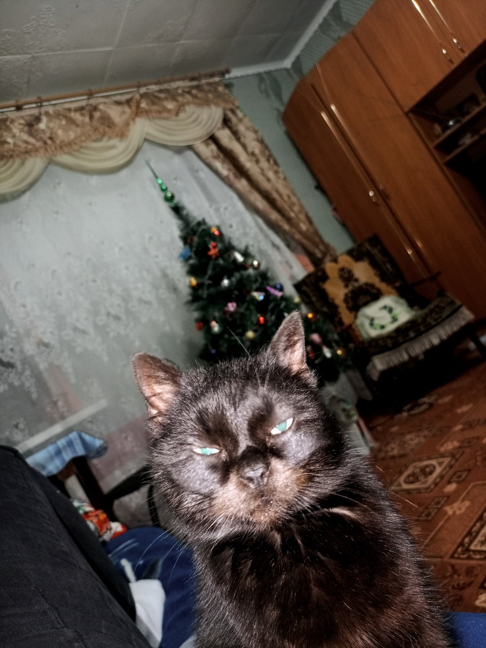 ягодный пунш в LOOKY — фото 2