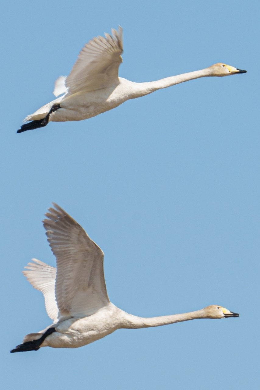 Фотограф Андрей Липов в LOOKY — фото 8
