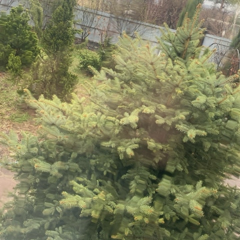 amflyne в LOOKY. . 