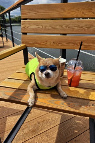 chiwawa.george в LOOKY. . Лучшее время года - ...