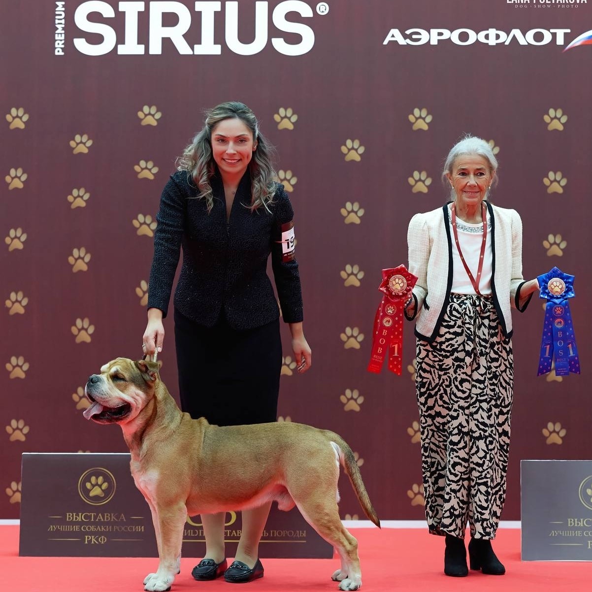anbarinova в LOOKY. . Все трое такие радос...