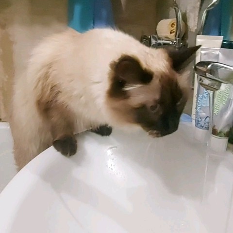 Анна_Крымская в LOOKY. . Дашулькин утренний р...