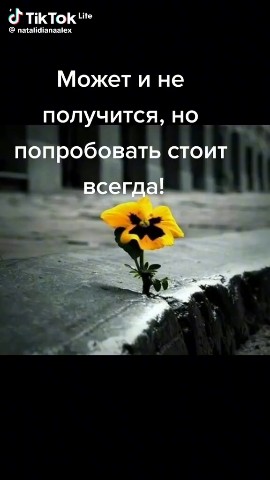 Небесный Сон в LOOKY — публикация