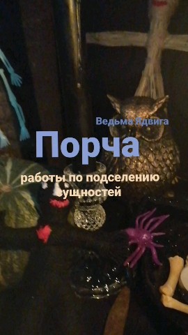 Ведьма Ядвига Черная Магия Вуду в LOOKY. #чернаямагия,#порча,#чернаяпорча,#кладбищенскаяпорча,#магиявуду,#ритуалывуду,#приворотвуду,#рассорка,#порчавуду,#привязканалюбимого,#чернаямагия,#кладбищенскаямагия,#кладбищенскийприворот,#ритуалывудуналюбовь,#обрядывудунаденьги,#приворот,#магия,#черныйприворот,#обрдыназачатие,#обрядынабеременность,#колдовство,#месть,#колдунья,#ведьма,#чернаяведьма,#родоваяведьма,#приворотпофото,#снятиепорчи,#порчанаврага,#порчанабывшего,#порчанасоперницу,#порчанаконкурентов,#порчанабизнес,#порчапофото,#порчанавыкидыш,#порчаназдоровье,#порчанасмерть,#порчанакрасоту,#порчанапотенцию,#порчанаожирение,#приворот,#магия,#приворотнамусульманина,#приворотнамужа,#приворотнакрови,#приворотналюбимого. 🕷️ПОРЧА⚫ПОДСЕЛЕНИЕ ...