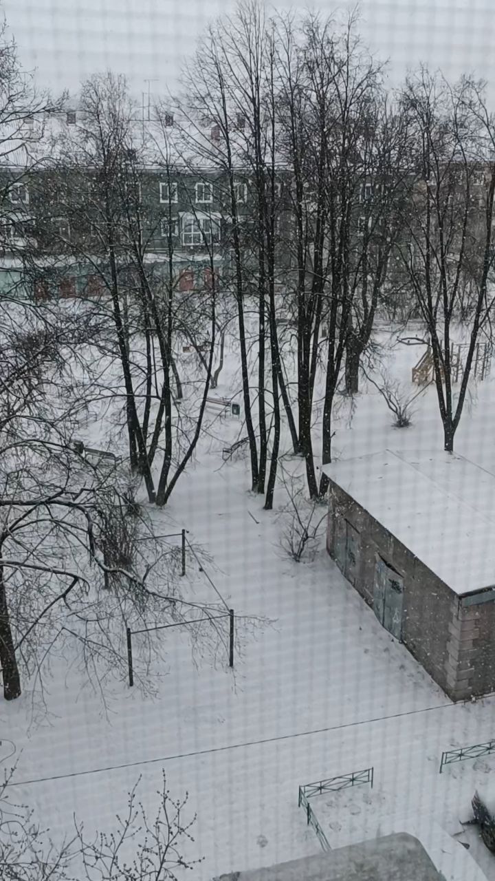 Rimmaantonova13 в LOOKY. . А за окном вновь пуш...