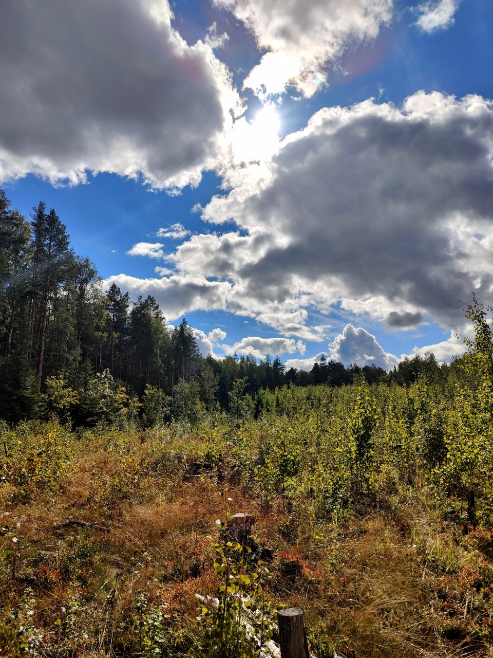 С осенью, друзья!
Карелия🌲Karjala
#осеньвкарелии #осень
#карелия #karelia #karjala #живувкарелии #природа #природакарелии
#looky #looky_official #LOOKY_контент #looky_you #you #looky_топ