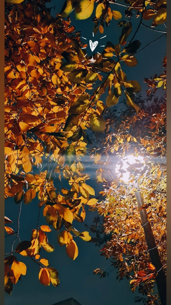 Мир в LOOKY — #осень #мирпрекрасен [#wow ](wow) [#autumn ](autumn)#mylove