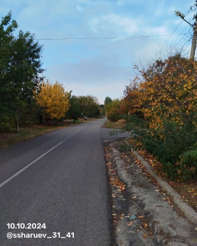 ssergey_31_41 в LOOKY. #старыйоскол,#белгородскаяобласть,#31регион,#31rus,#октябрь,#октябрь2024,#2024,#осень,#осень2024,#утро,#доброеутро,#утренняяпрогулка,#прогулка,#прогулкапогороду. Утренняя прогулка по...