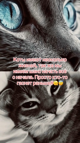 Светлана в LOOKY. . Задумайтесь