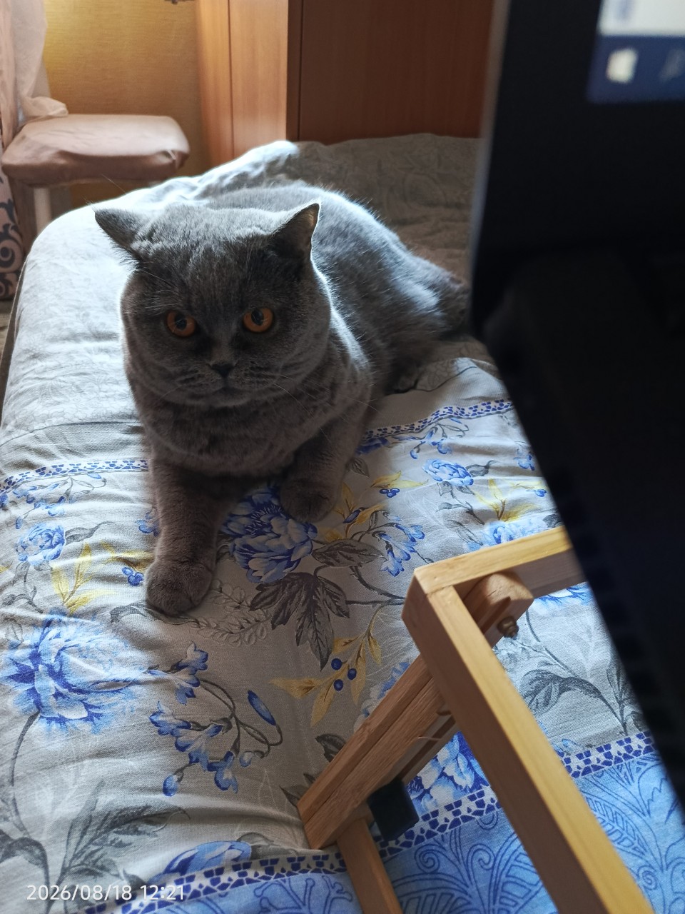 Учиться вместе со мной 😸