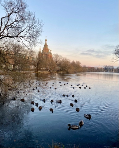_enot_enotych_ в LOOKY. . Очарование северной ...