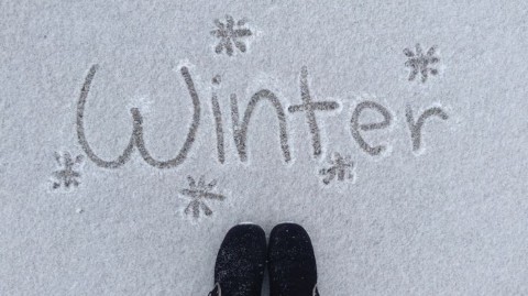 Vikki в LOOKY. #зима. #зима [#winter](wint...