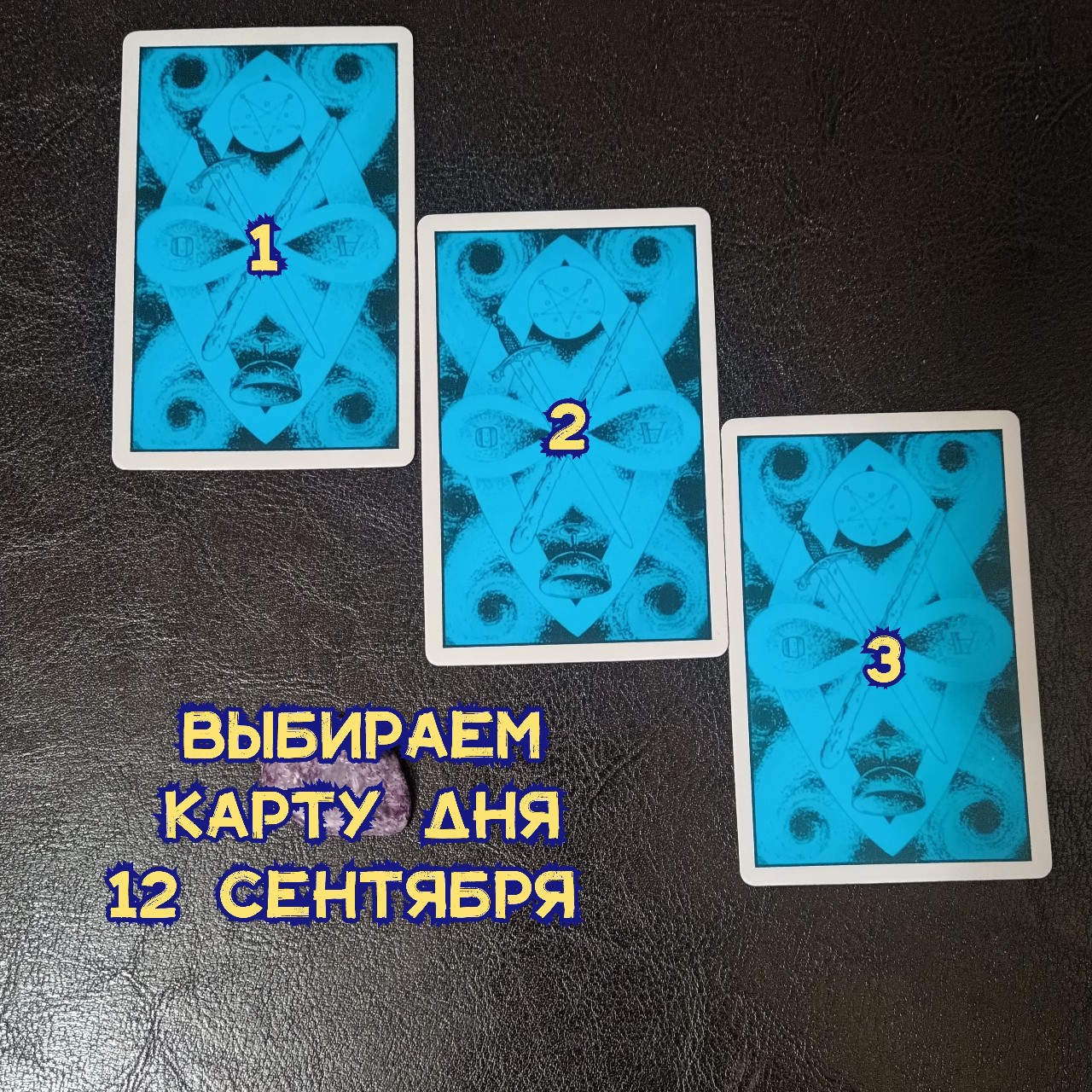Marina_m_taro