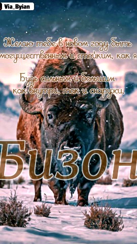 Via_Byian в LOOKY. #via_byian,#byian,#праздник,#новыйгод,#мотивация,#сказка,#волшебноенастроение,#свобода,#путь,#снег,#зима,#природа,#дикаяприрода,#арт,#животные,#звери,#разноцветье,#celebration,#newyear,#motivation,#fairytale,#magicalvibes,#freedom,#path,#snow,#winter,#nature,#wildnature,#art,#animals,#wildlife,#diversity. #via_byian #byian 
#...