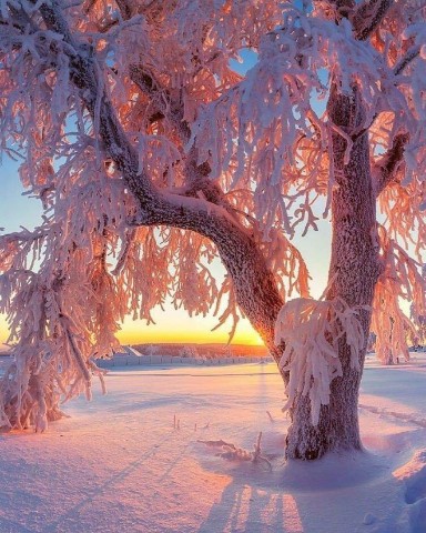 _Balleriana_ в LOOKY. #зима,#winter,#природа,#looky. Зимние пейзажи #зима...