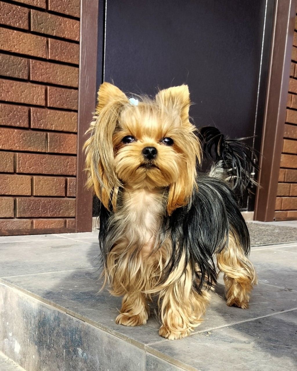 Vladova Tatiana в LOOKY. . 