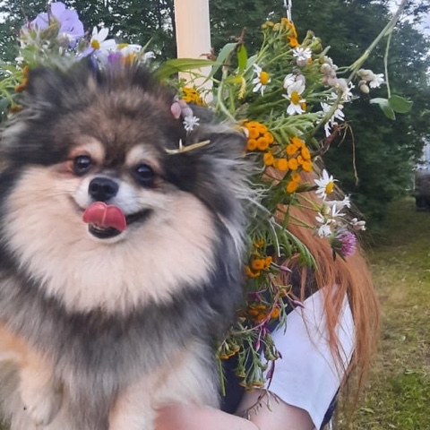 Looky_1712977567678 в LOOKY. . Привет, друзья! 💐По...