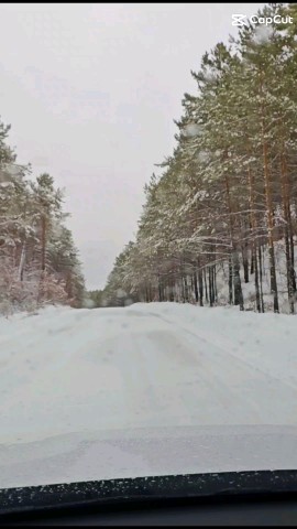 vladimirsvasva в LOOKY. . По снегу под дождем�...