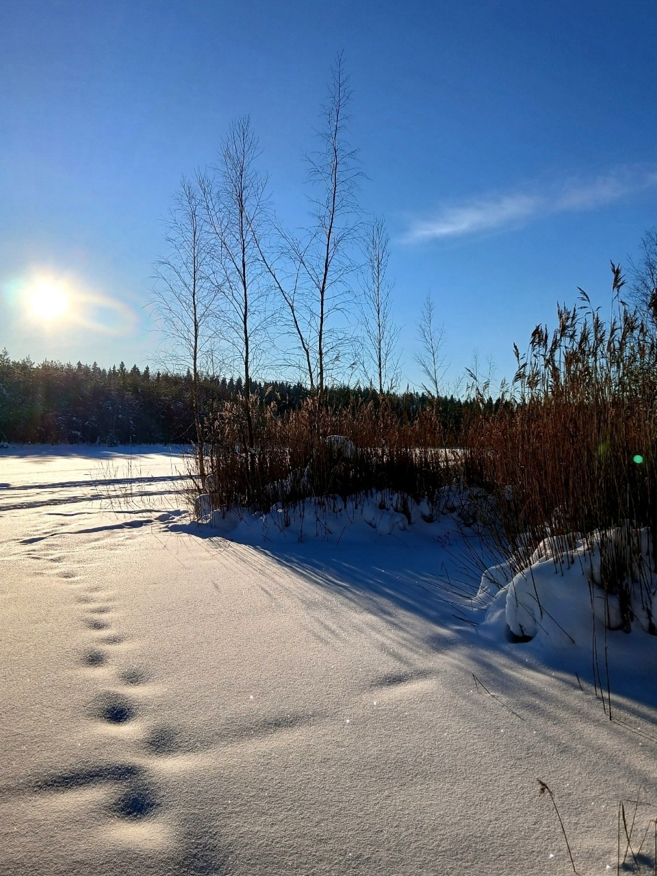 Виктор в LOOKY. #весна
#карелия,#karelia,#karjala,#живувкарелии,#природа,#природакарелии
#looky,#looky_official,#LOOKY_контент,#looky_you,#you,#looky_топ. ❄️Карелия🌲Karjala❄️...