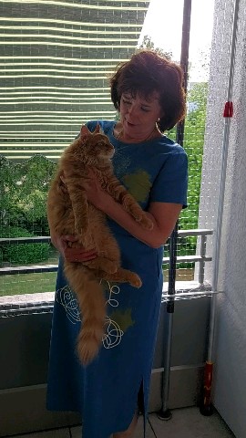 Simba в LOOKY. #симба,#котёнок,#maincoon. Симбе 5 месяцев. Вес...