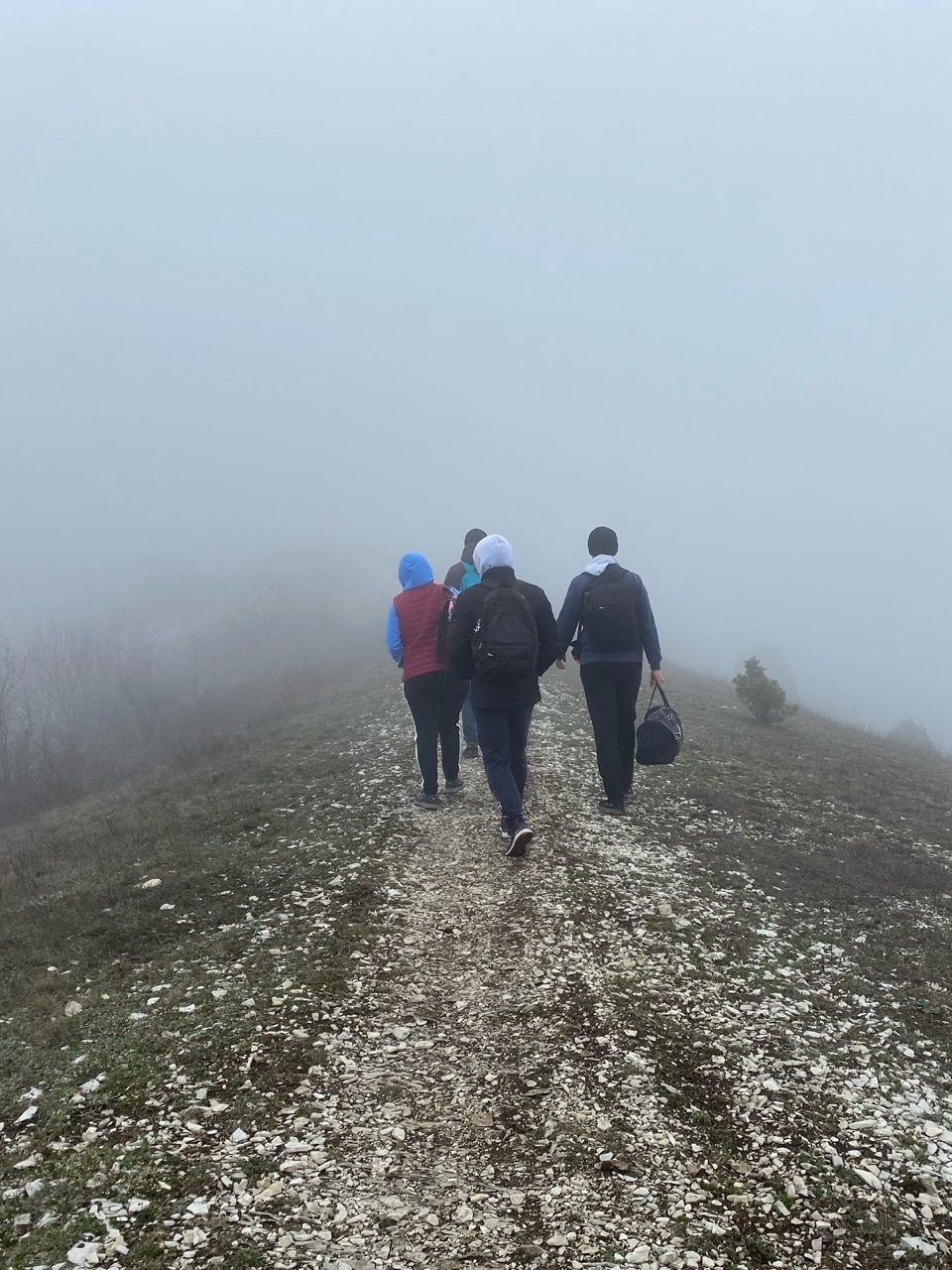 nina_melekhova в LOOKY — фото 9