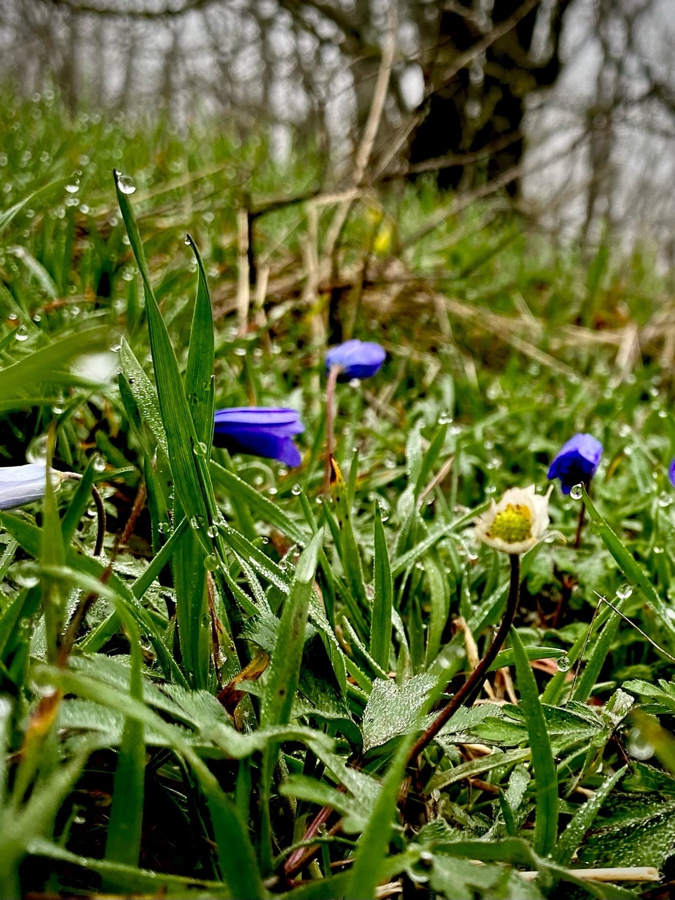 nina_melekhova в LOOKY — фото 6