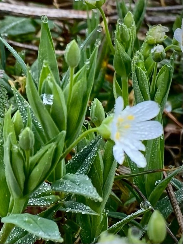 nina_melekhova в LOOKY — фото 5