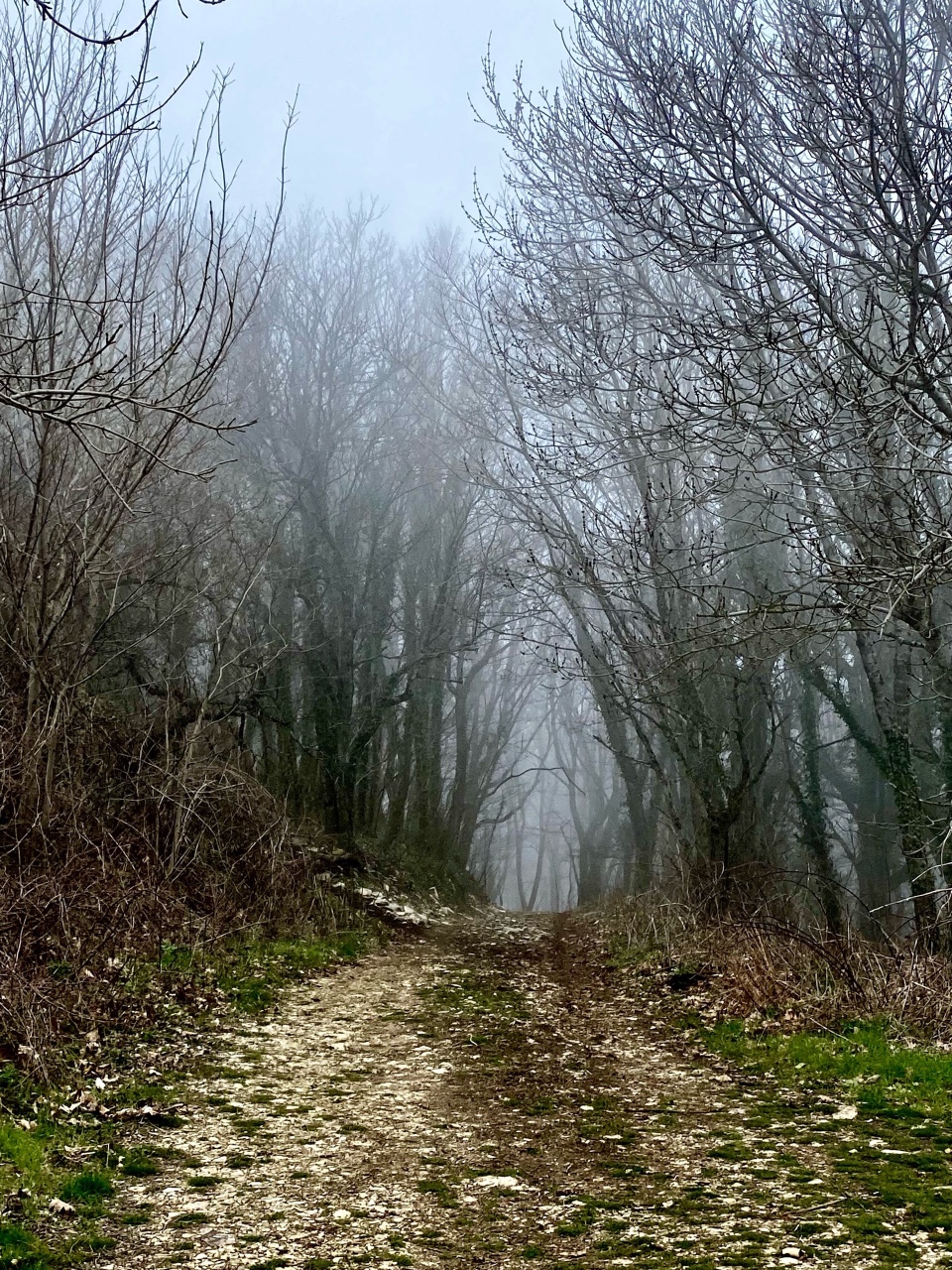 nina_melekhova в LOOKY — фото 7