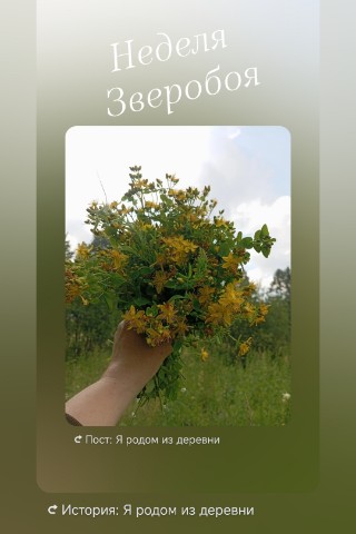 Берегиня в LOOKY. . 🌼 Неделя зверобоя: ...