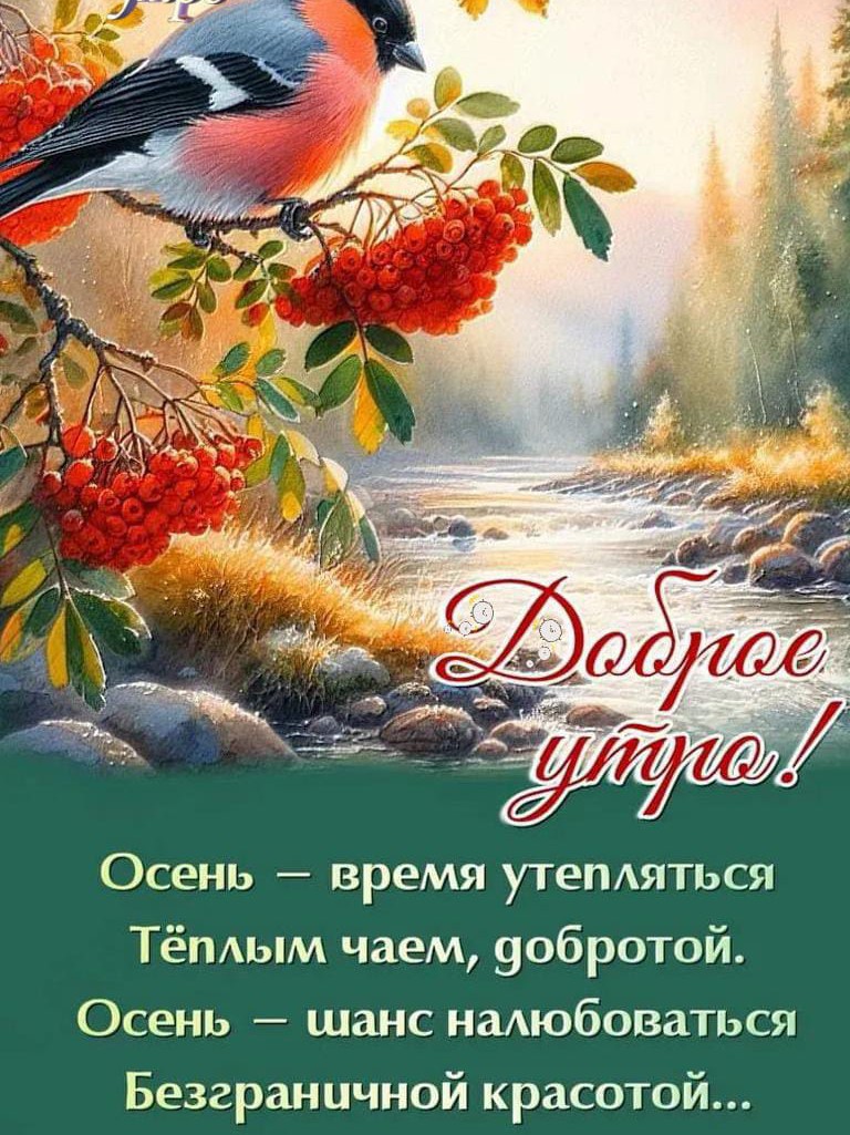 Любовь Александровна в LOOKY — фото 10