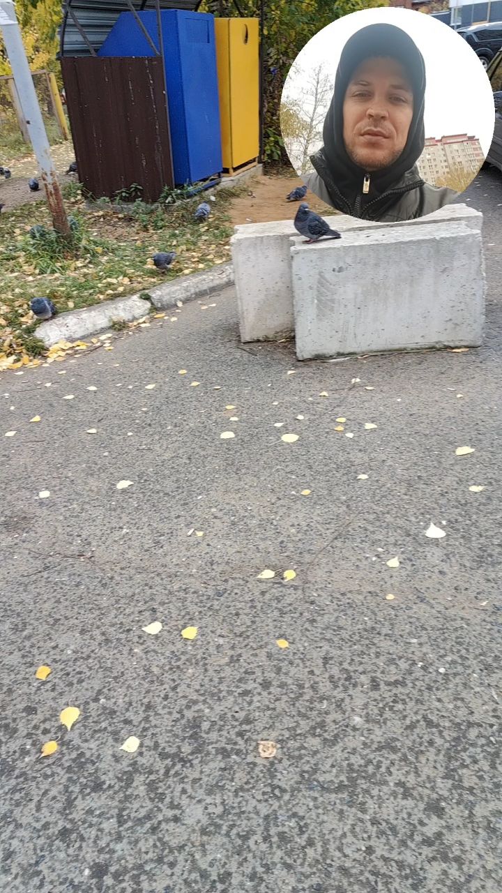 Смотри чё сделал в LOOKY. . Собрание голубей