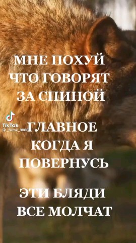 Макс в LOOKY. . [#правдажизни](правд...