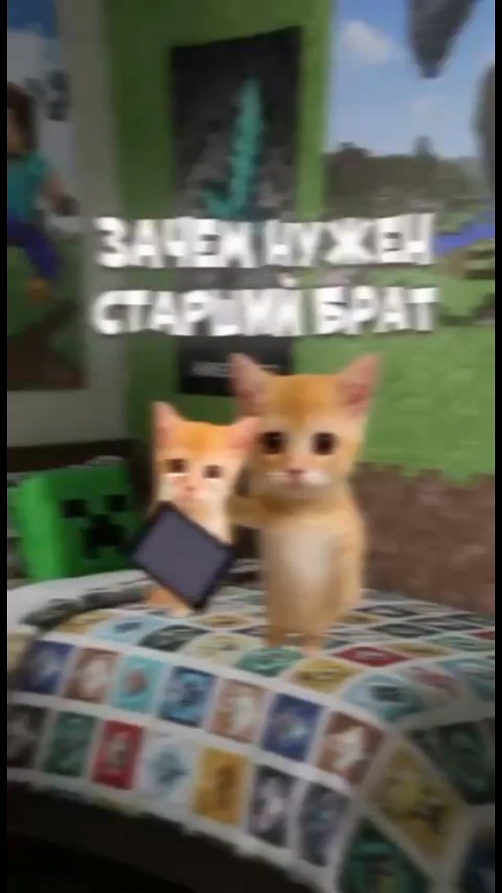 Котята поясняют в LOOKY — Зачем нужен старший брат? 
Пояснение на котятах.