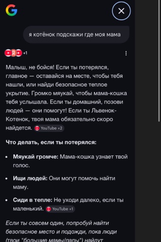 pustovalov_com в LOOKY. . «я котёнок подскажи ...
