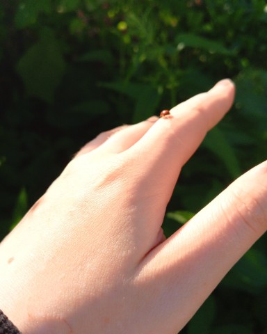 Looky_1720687028226 в LOOKY. . 🌿🐞