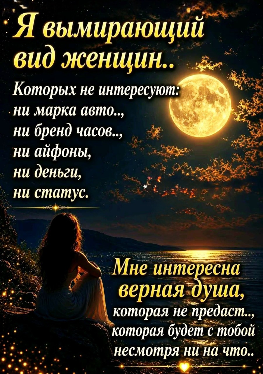  в LOOKY — публикация