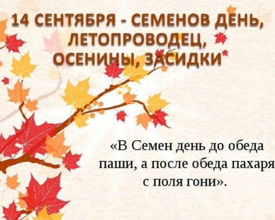  в LOOKY — публикация