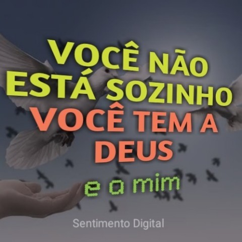sentimento.digital в LOOKY. . 