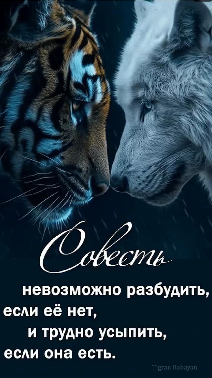 Looky_1717191900408