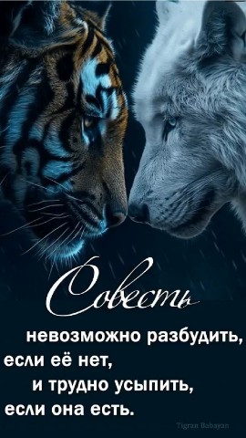 Looky_1717191900408 в LOOKY. . 