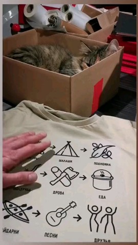 SDenis в LOOKY. . Я со своим пушистым ...