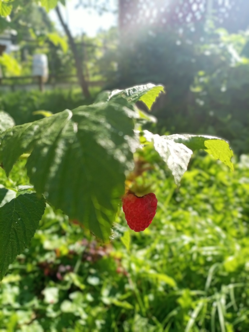Ирина Бин in LOOKY. . Природа радует своим...