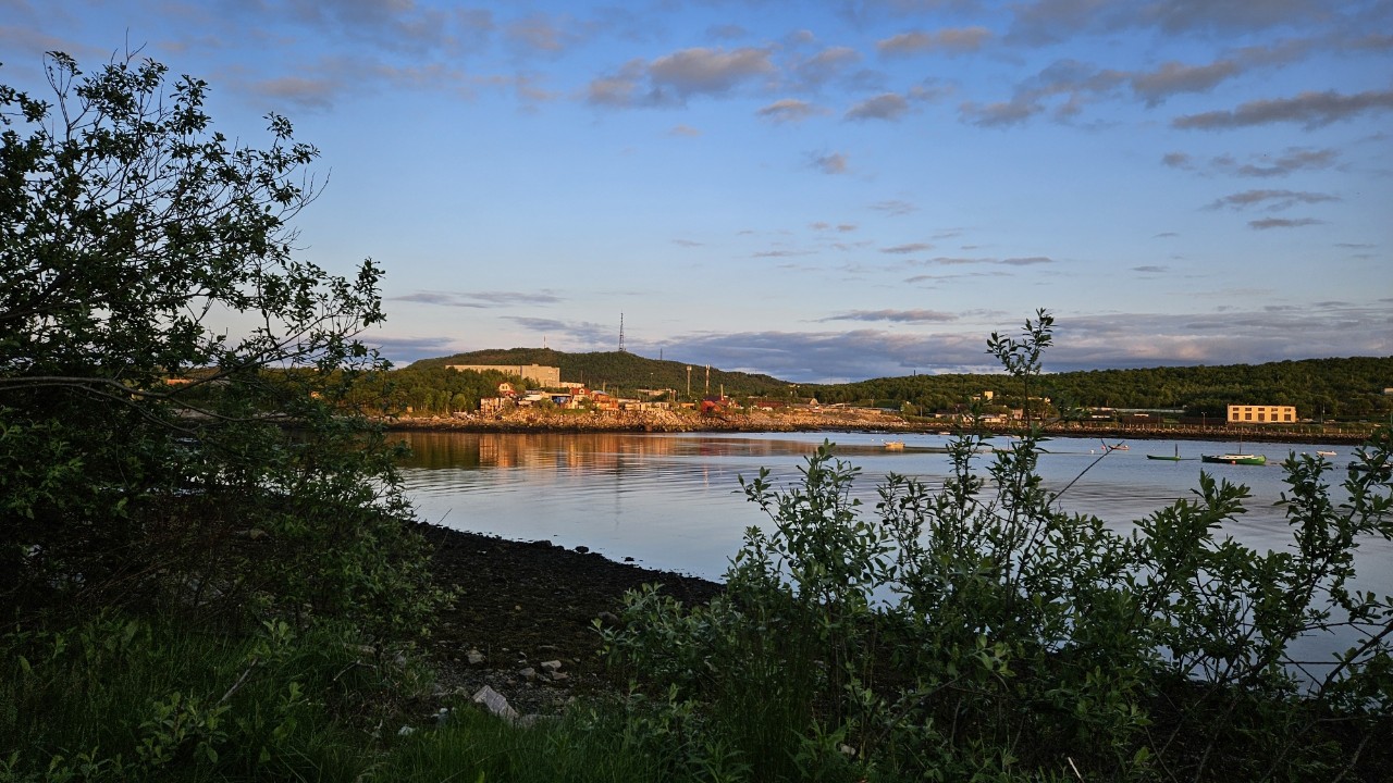 pyntova