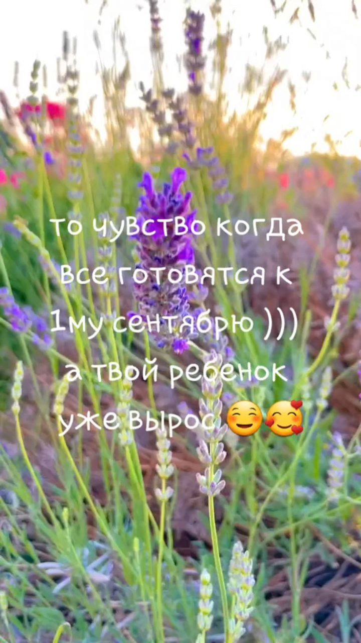 Looky_177979092175043 в LOOKY. . 