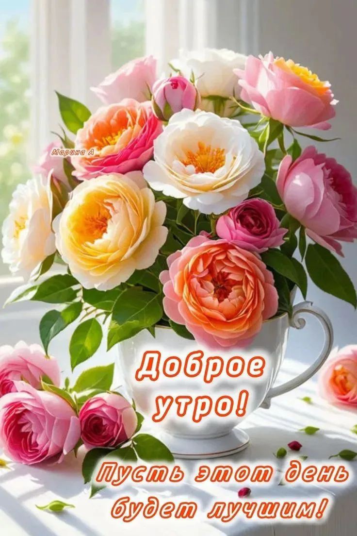 Looky_177821726465292