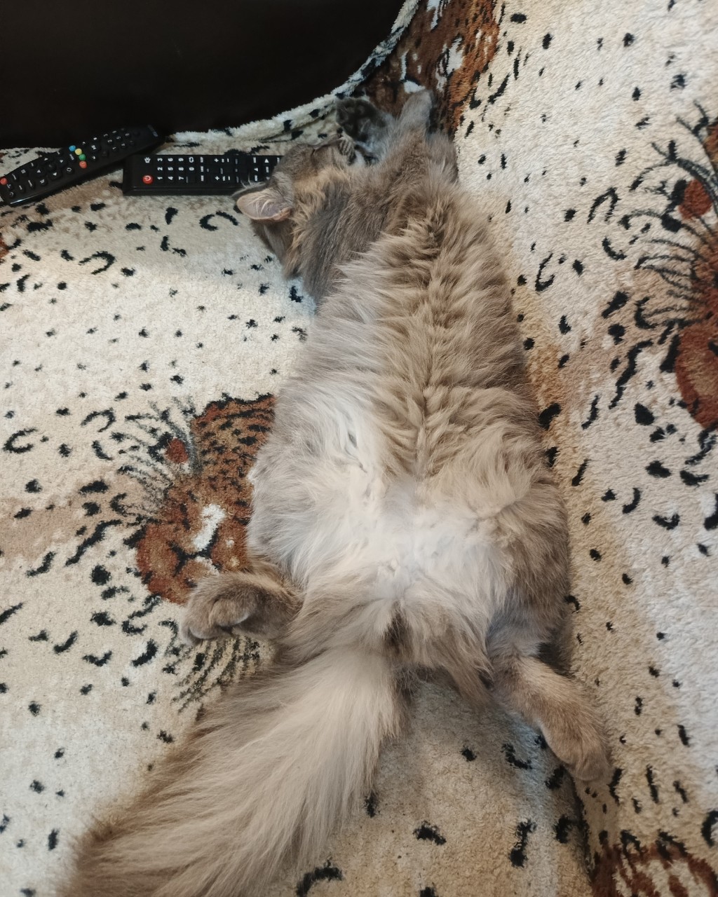 Ангел in LOOKY. . Крепки сон 🛌