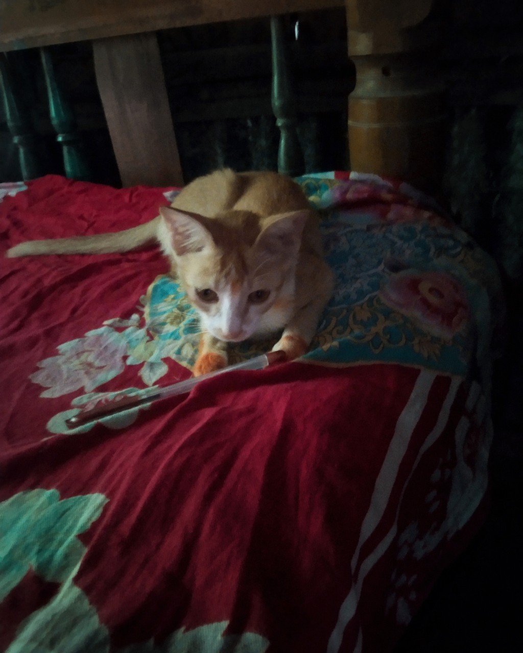SR RAJ в LOOKY — Cute He na
